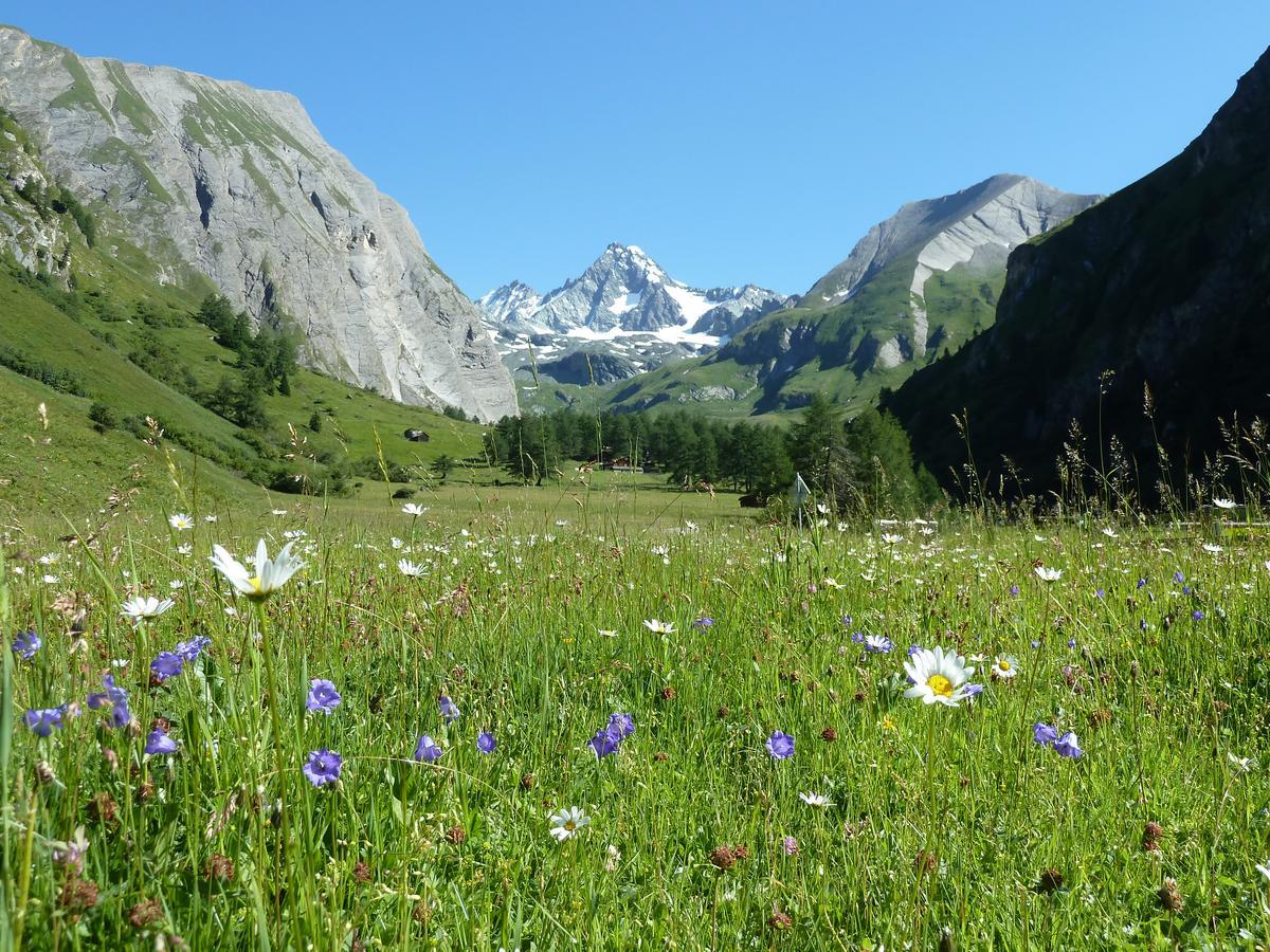 Alpengasthof Lucknerhaus Kals am Grossglockner Exterior foto